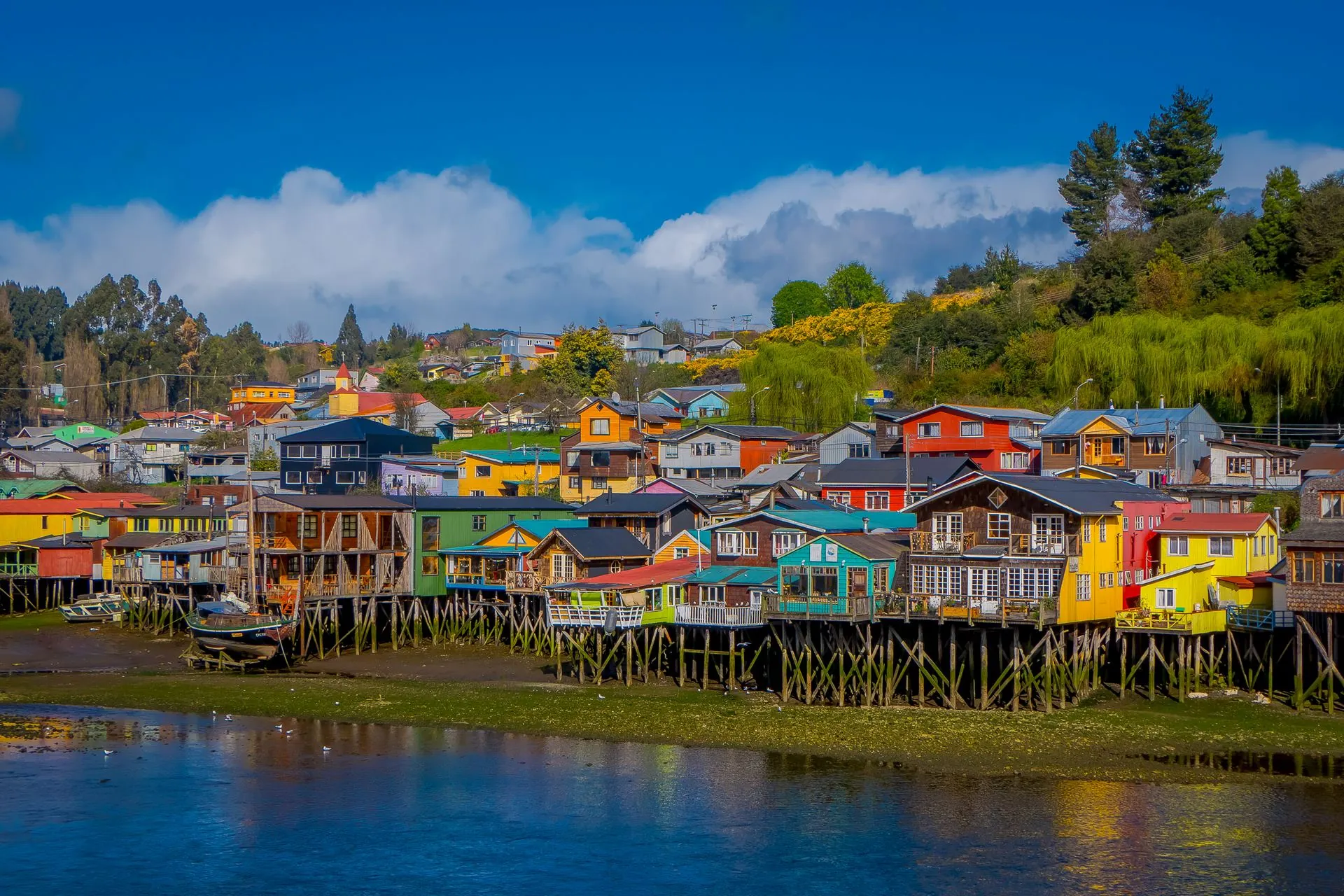 Circuit Chili > Couleurs du Chili, Chiloé et île de Pâques 20J/17N