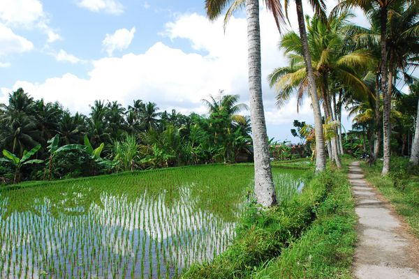 Combiné Bali, Ubud et plages PROMO 9 ou 10 jours pas cher photo 1