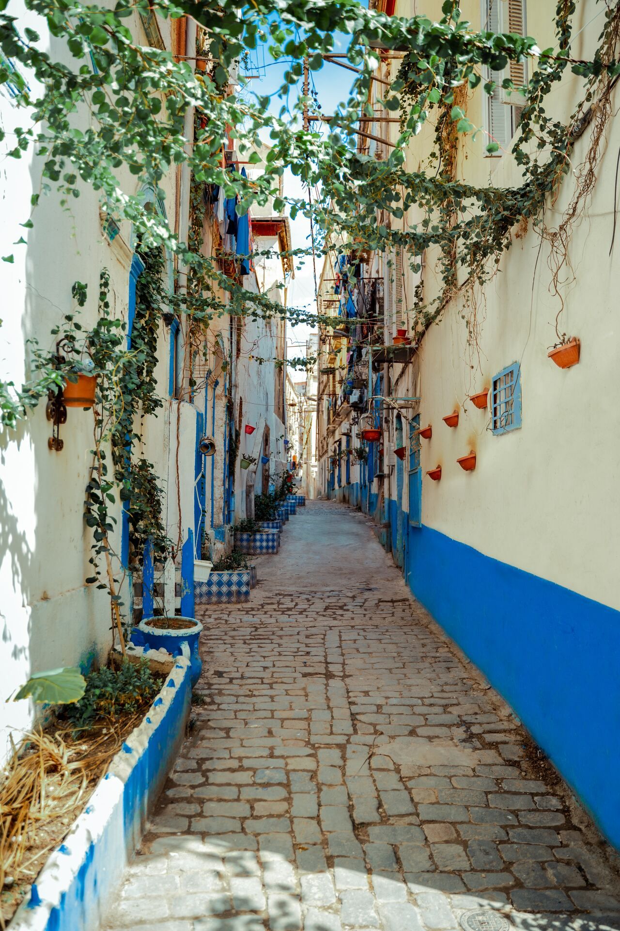 Richesses d'Algérie pas cher photo 2