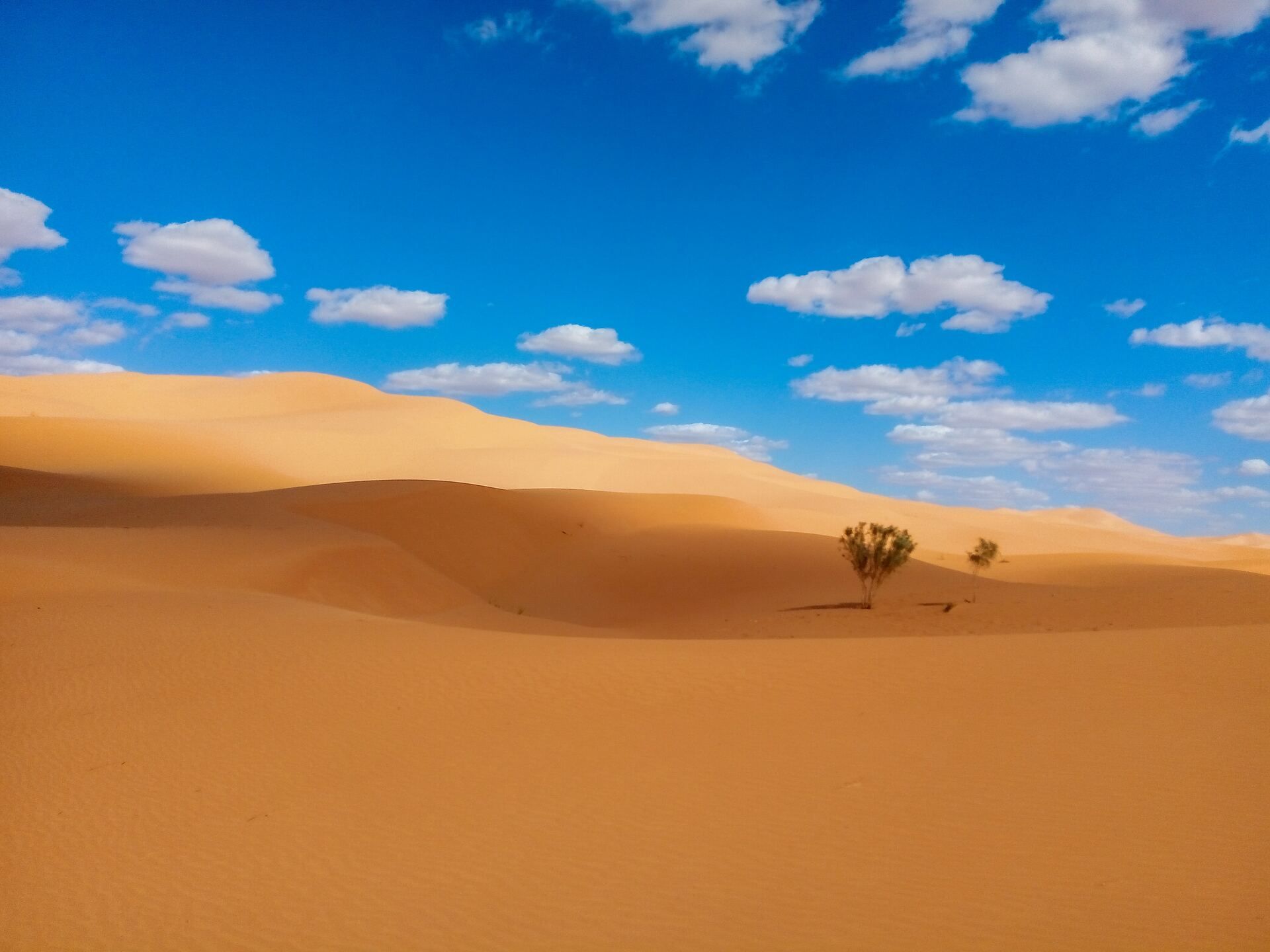 Richesses d'Algérie pas cher photo 4